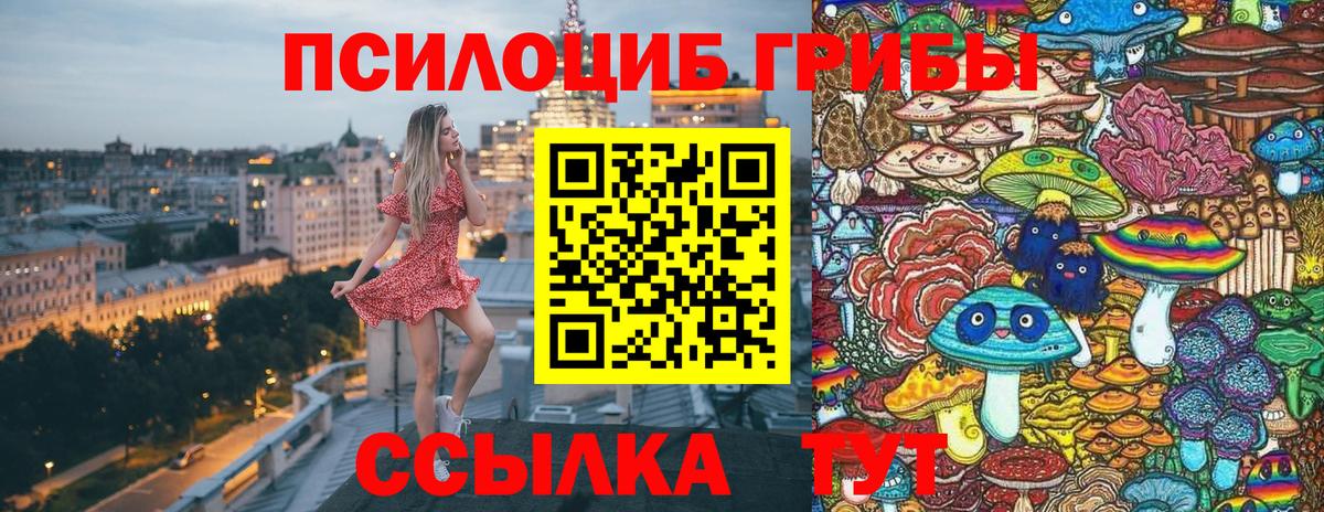 Псилоцибиновые грибы Psilocybine cubensis  Вход с VPN  Советская Гавань 