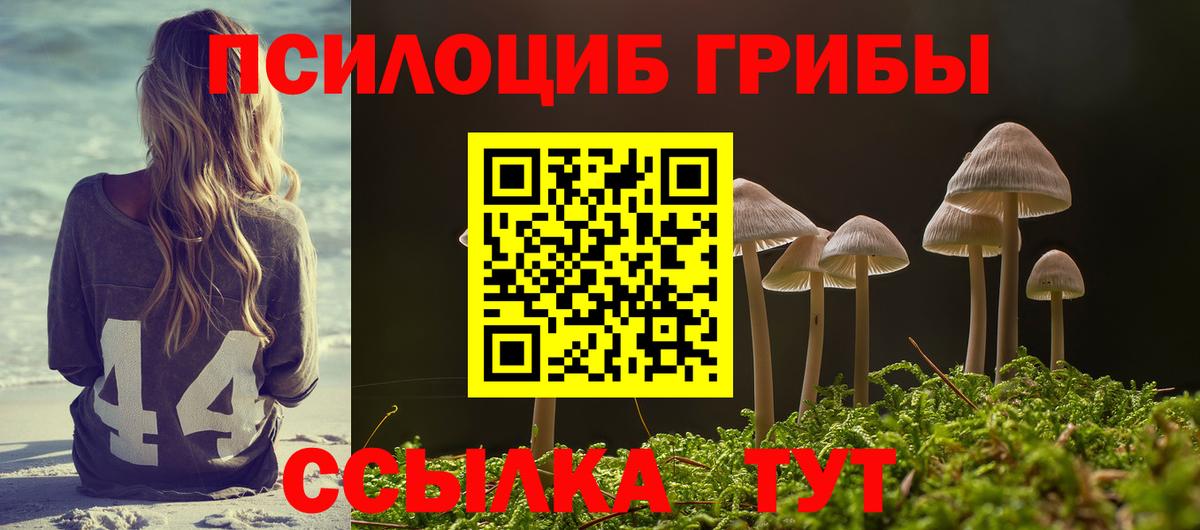 Псилоцибиновые грибы прущие грибы Советская Гавань